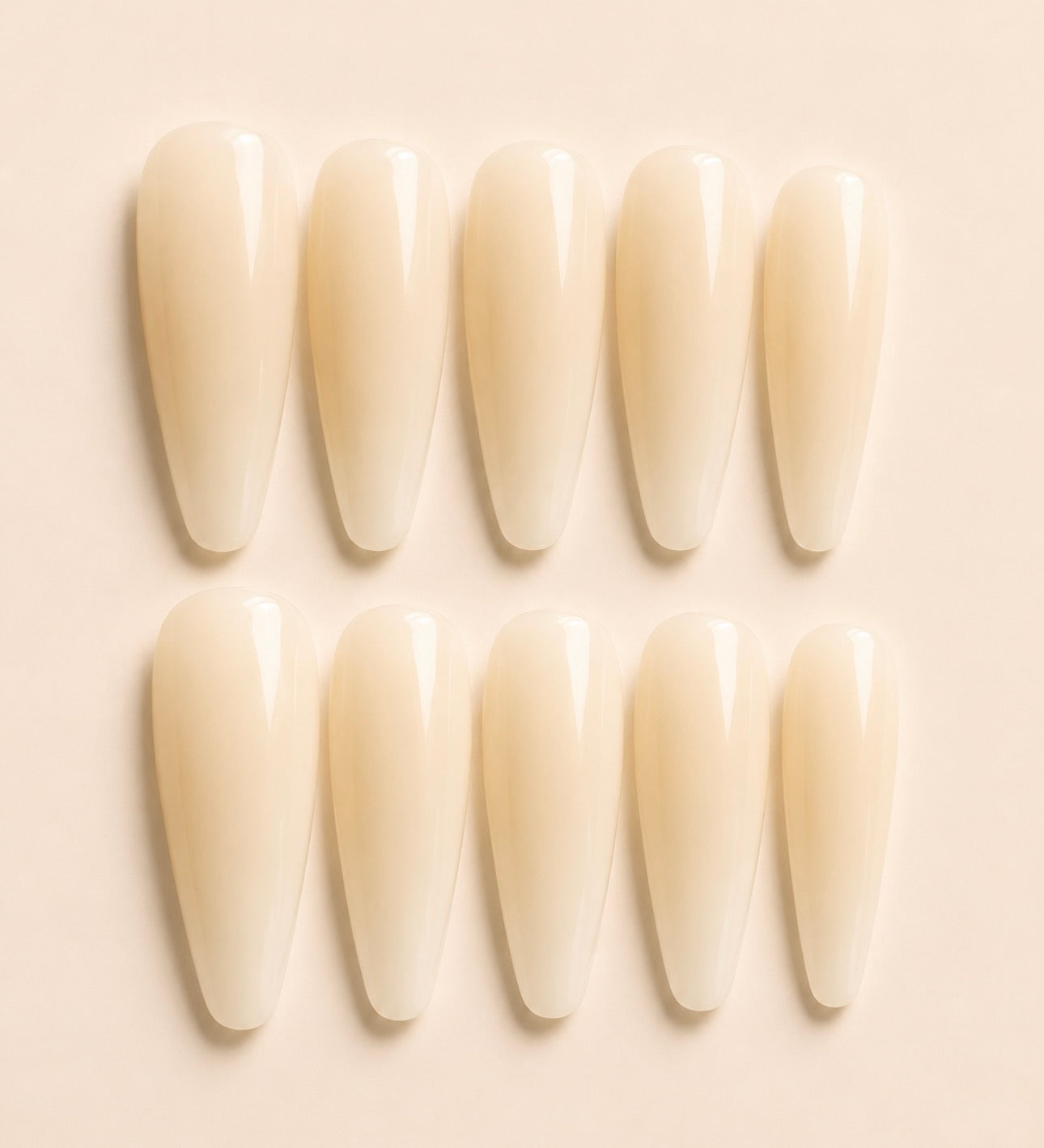 Ivory | Medium